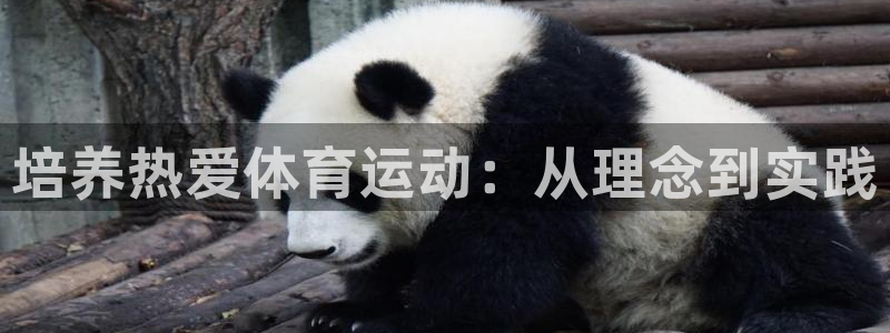 培养热爱体育运动：从理念到实践