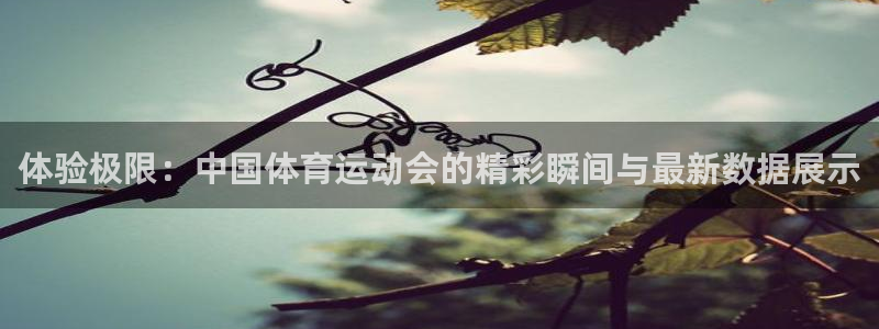 体验极限：中国体育运动会的精彩瞬间与最新数据展示