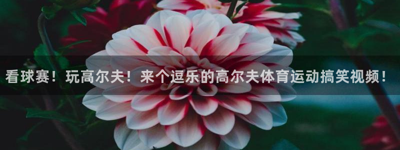 看球赛！玩高尔夫！来个逗乐的高尔夫体育运动搞笑视频！