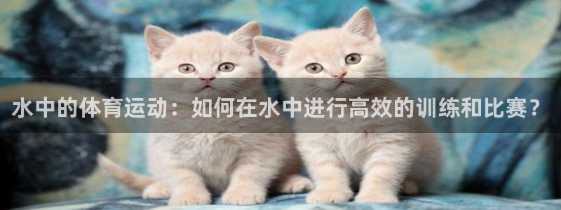 水中的体育运动：如何在水中进行高效的训练和比赛？