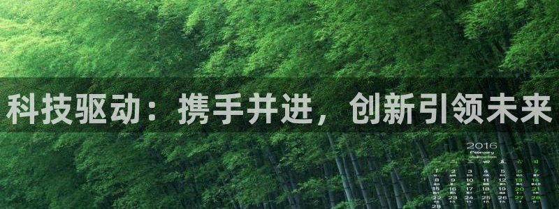 科技驱动：携手并进，创新引领未来