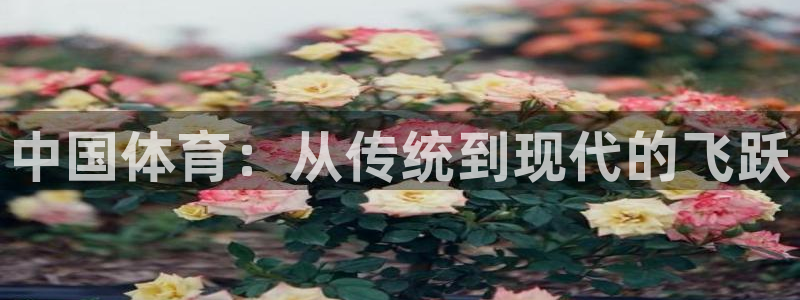 中国体育：从传统到现代的飞跃